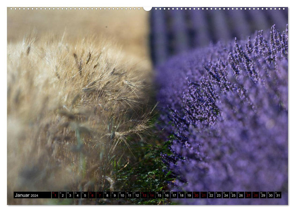 Provence im Rausch der Farben (CALVENDO Premium Wandkalender 2024)