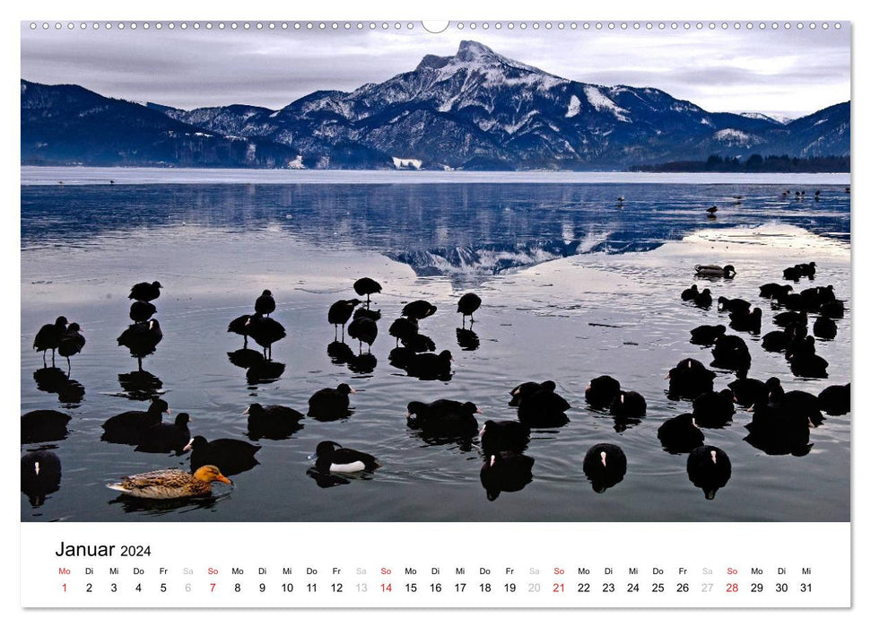 Zauberhaftes Mondseeland (CALVENDO Premium Wandkalender 2024)