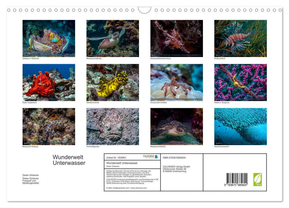 Wunderwelt Unterwasser (CALVENDO Wandkalender 2024)