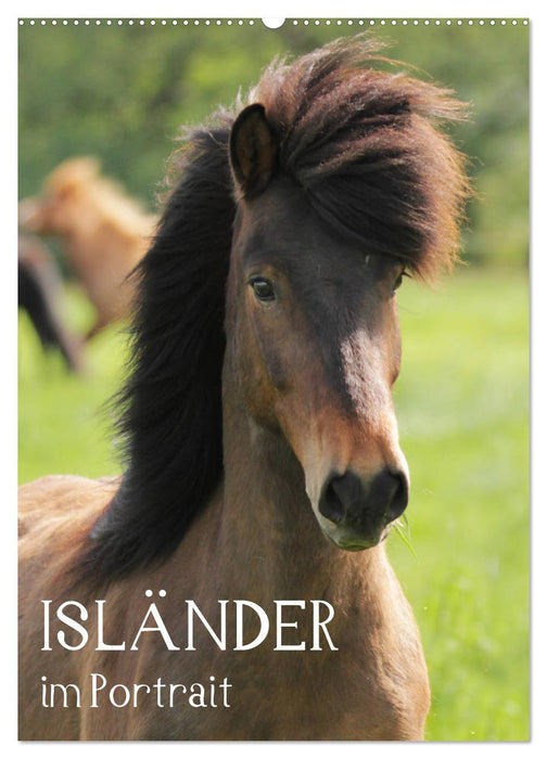 Isländer im Portrait (CALVENDO Wandkalender 2024)