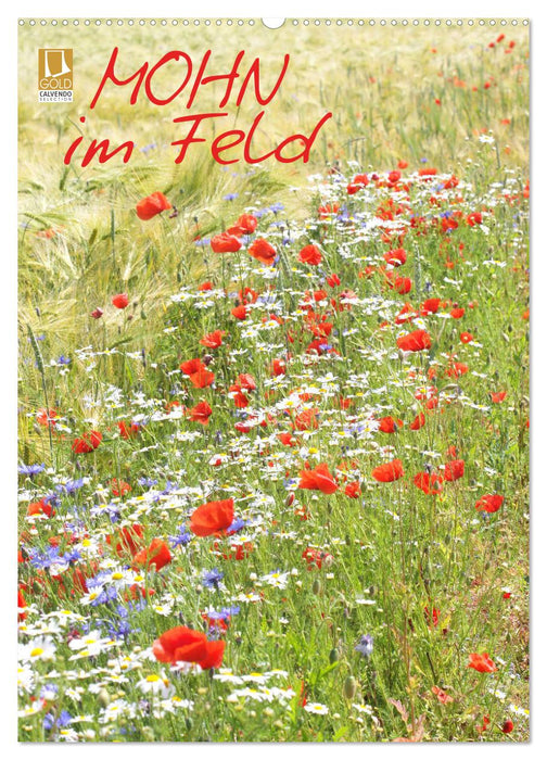 Mohn im Feld (CALVENDO Wandkalender 2024)