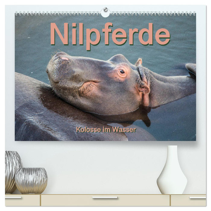 Hippopotames, colosses dans l'eau (Calendrier mural CALVENDO Premium 2024) 