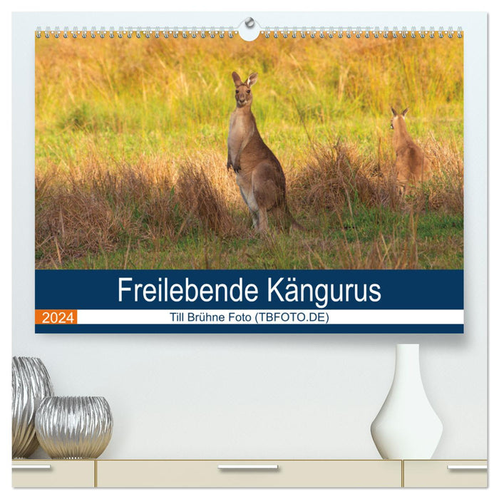 Kangourous vivant en liberté (Calendrier mural CALVENDO Premium 2024) 