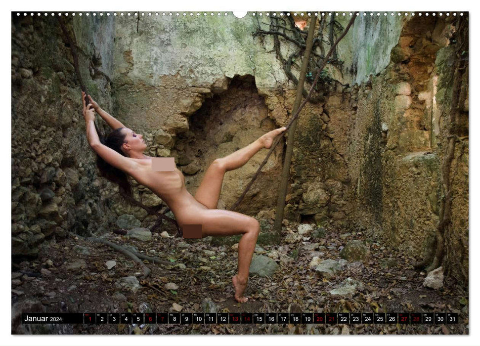 Aktfotografie in alten Mühlen (CALVENDO Premium Wandkalender 2024)