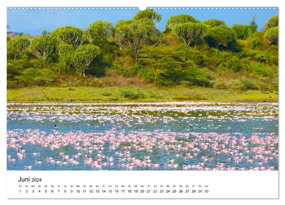 Blickpunkte Tansanias (CALVENDO Premium Wandkalender 2024)