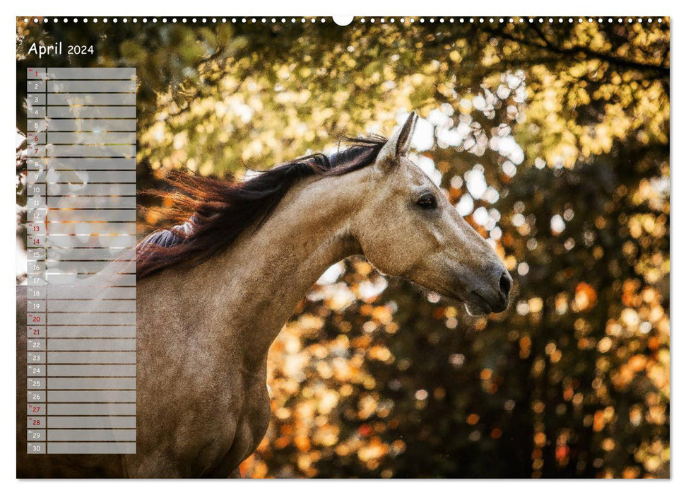 Pferde - Spiegel deiner Seele (CALVENDO Premium Wandkalender 2024)