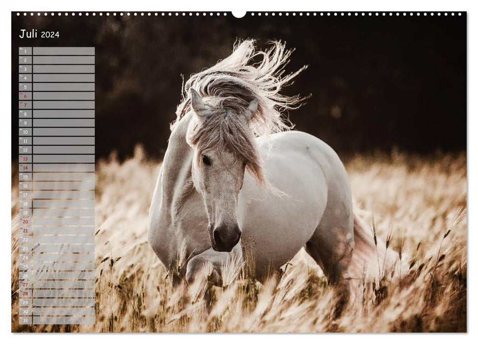 Pferde - Spiegel deiner Seele (CALVENDO Premium Wandkalender 2024)