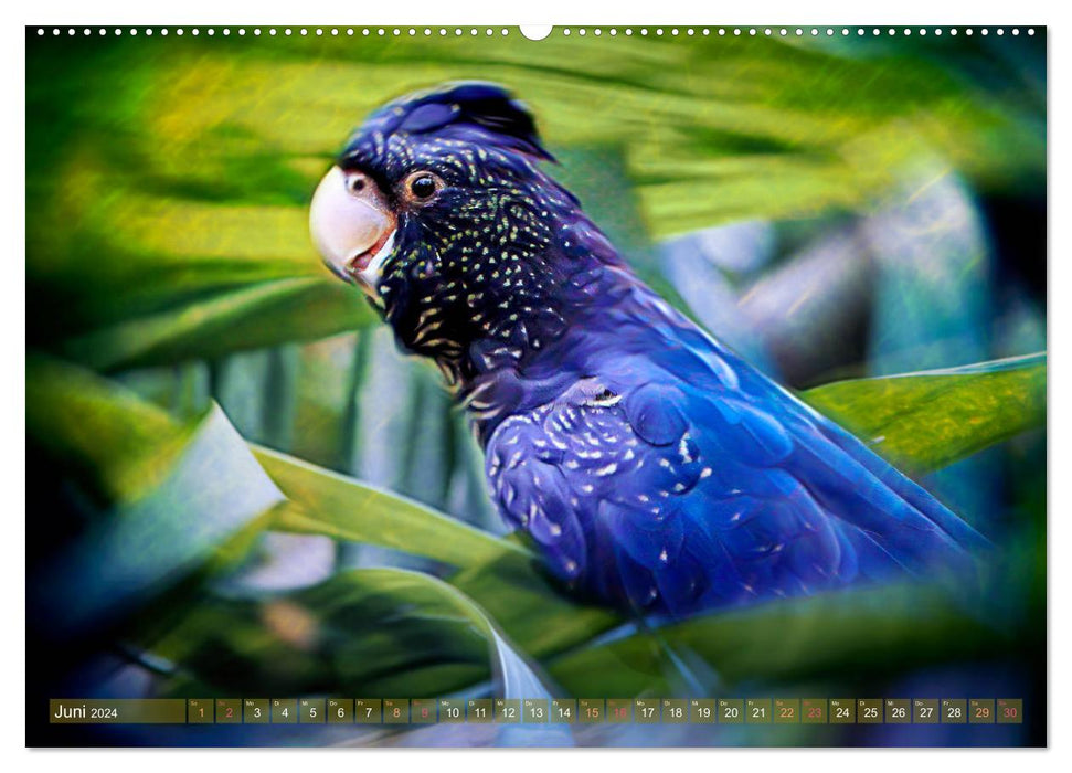 Farbenfrohe Vögel - Exoten ARTWORK (CALVENDO Premium Wandkalender 2024)