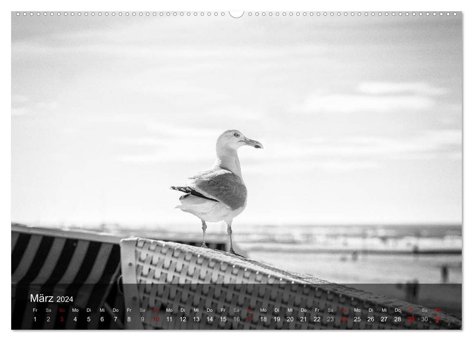 Wangerooge Noir (CALVENDO Wandkalender 2024)