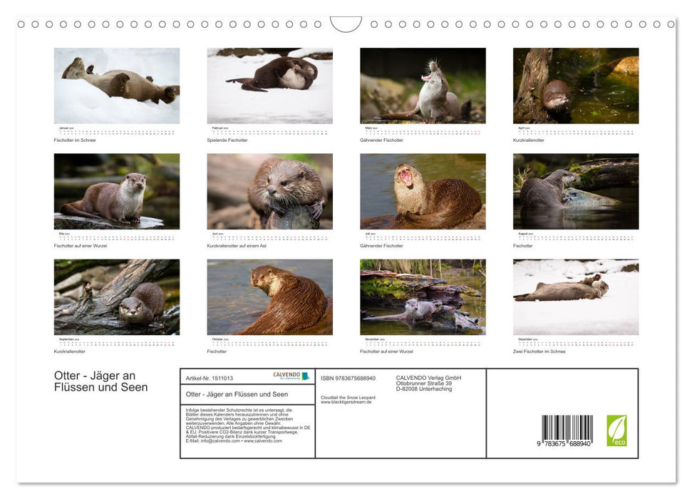 Otter - Jäger an Flüssen und Seen (CALVENDO Wandkalender 2024)