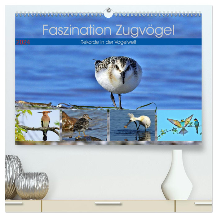 Faszination Zugvögel - Rekorde in der Vogelwelt (CALVENDO Premium Wandkalender 2024)