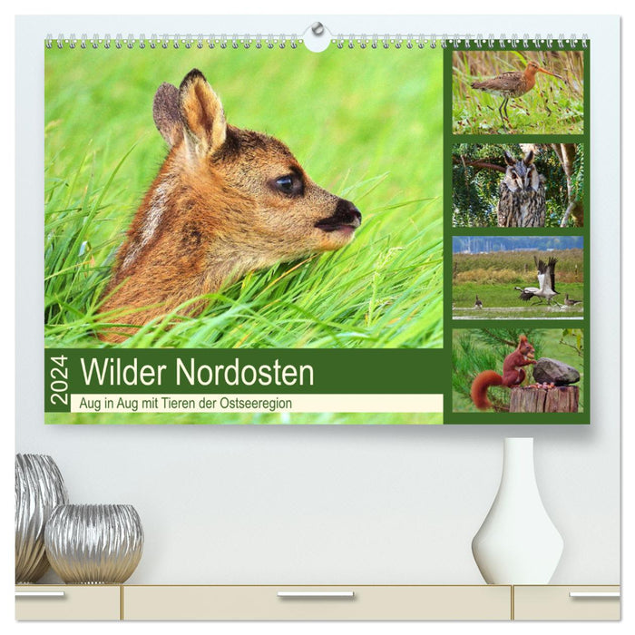 Wilder Nordosten - Aug in Aug mit Tieren der Ostseeregion (CALVENDO Premium Wandkalender 2024)