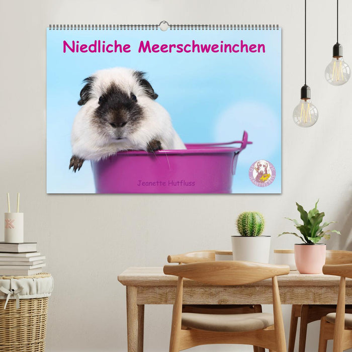 Niedliche Meerschweinchen (CALVENDO Wandkalender 2024)