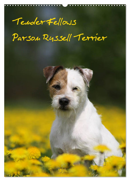 Tender Fellows - Parson Russell Terrier (CALVENDO Wandkalender 2024)