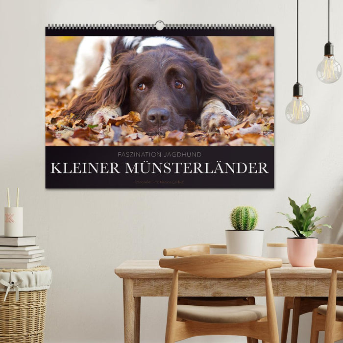 Faszination Jagdhund - Kleiner Münsterländer (CALVENDO Wandkalender 2024)