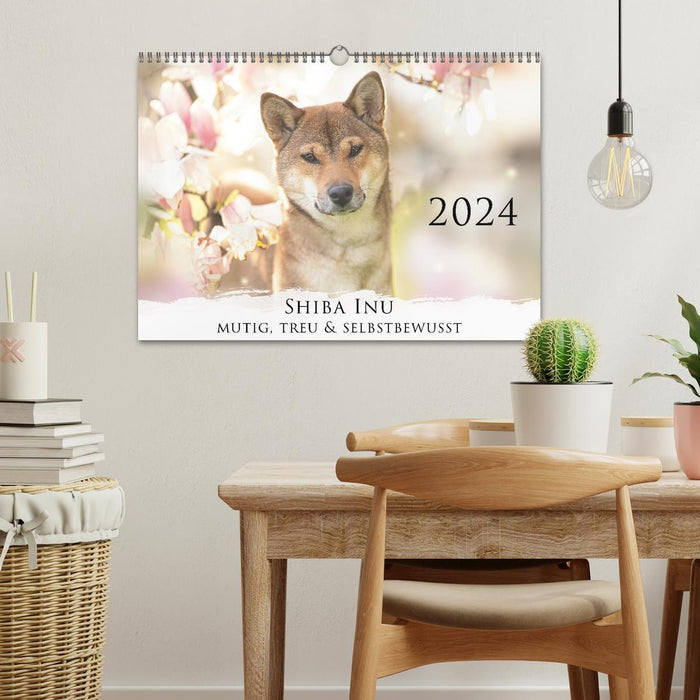 Shiba Inu - mutig, treu, selbstbewusst (CALVENDO Wandkalender 2024)