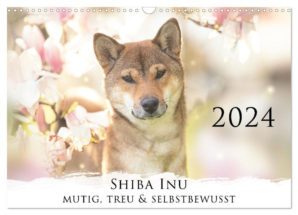 Shiba Inu - mutig, treu, selbstbewusst (CALVENDO Wandkalender 2024)