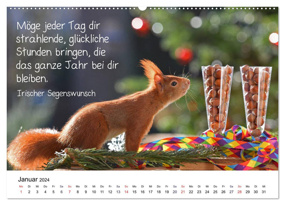 Der literarische Eichhörnchen-Kalender (CALVENDO Premium Wandkalender 2024)