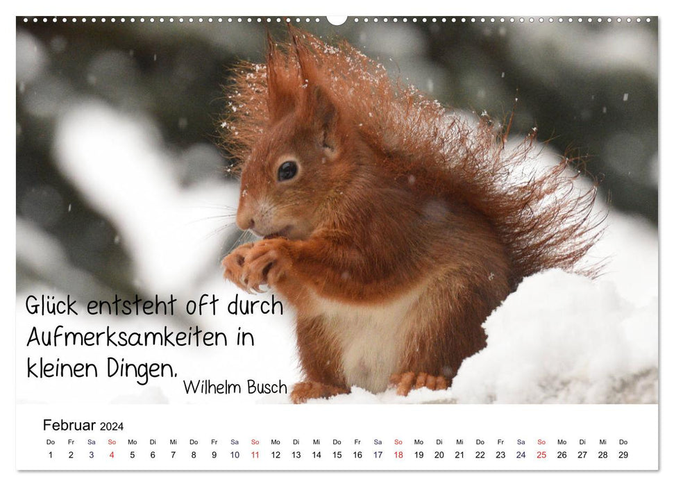 Der literarische Eichhörnchen-Kalender (CALVENDO Premium Wandkalender 2024)