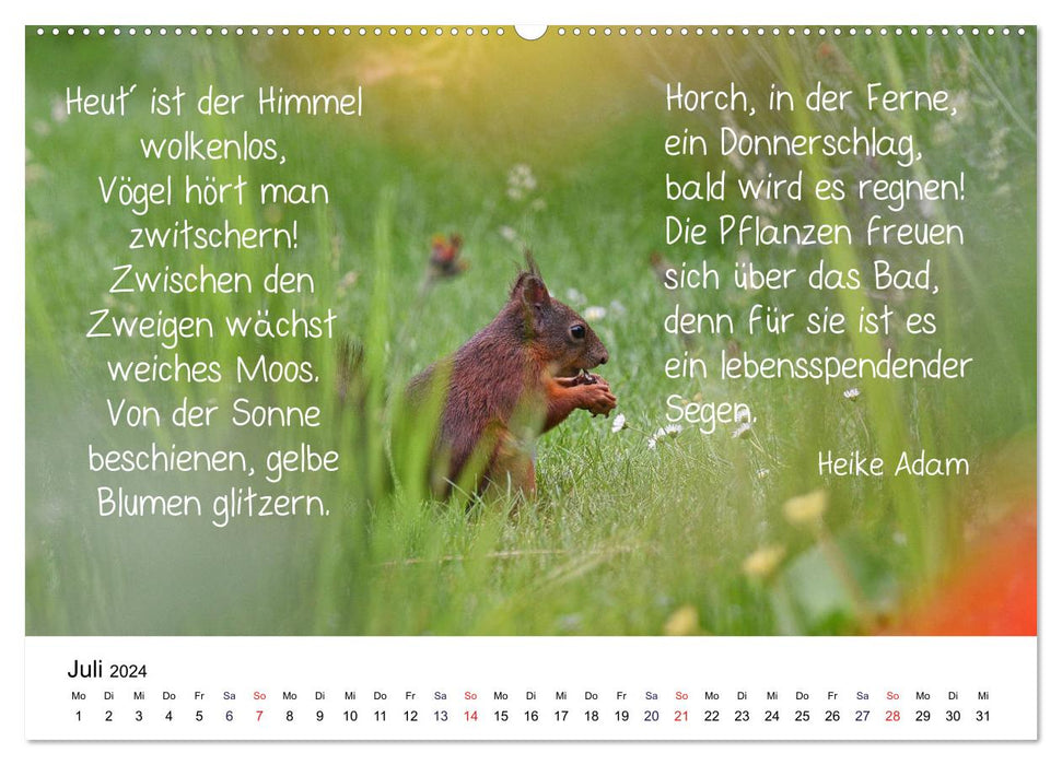 Der literarische Eichhörnchen-Kalender (CALVENDO Premium Wandkalender 2024)