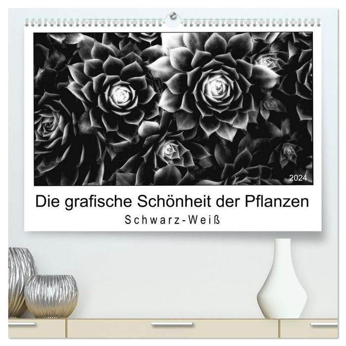 The graphic beauty of plants – black and white (CALVENDO Premium Wall Calendar 2024) 