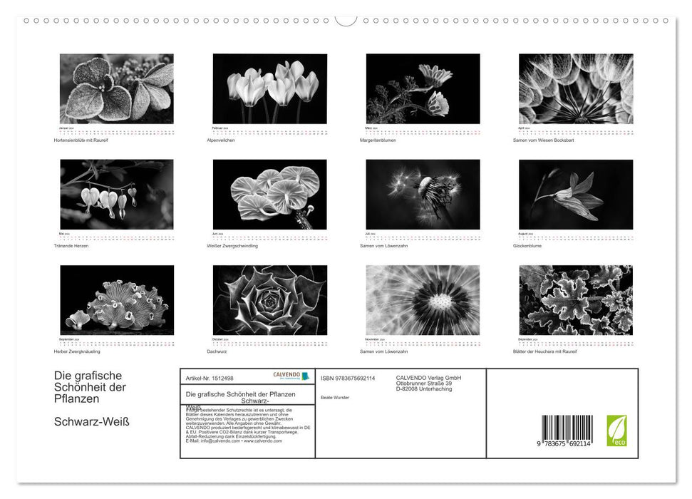 Die grafische Schönheit der Pflanzen – Schwarz-Weiß (CALVENDO Premium Wandkalender 2024)