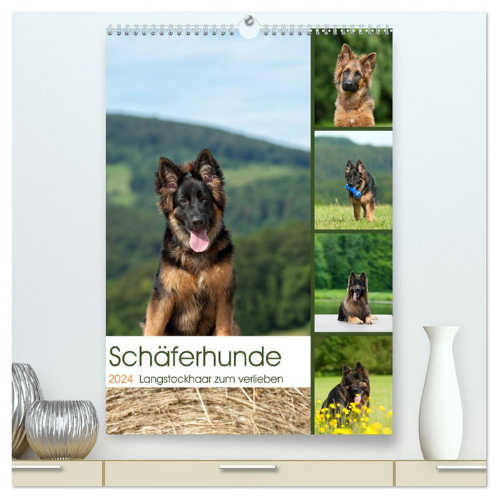 Schäferhunde Langstockhaar zum verlieben (CALVENDO Premium Wandkalender 2024)