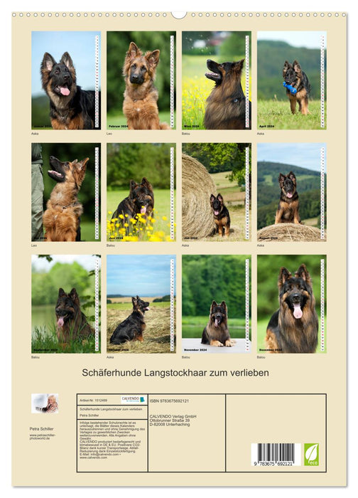 Shepherd dogs with long stick hair to fall in love with (CALVENDO Premium Wall Calendar 2024) 