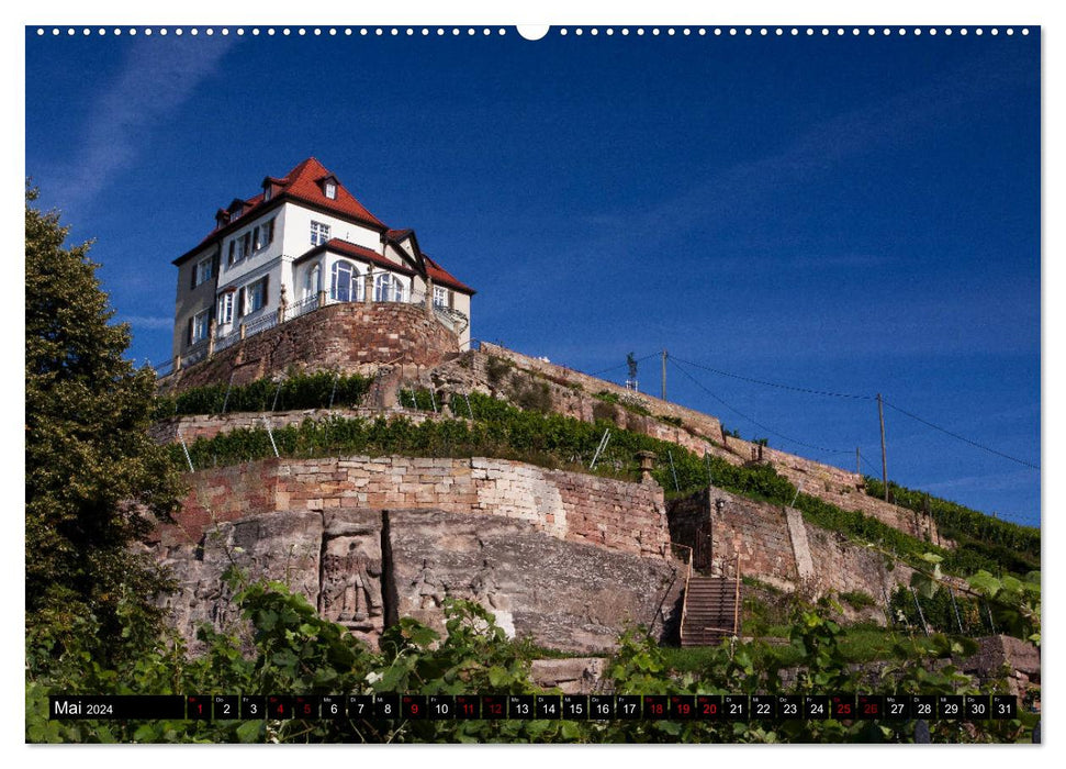 Naumburg - Kleinod an der Saale (CALVENDO Wandkalender 2024)