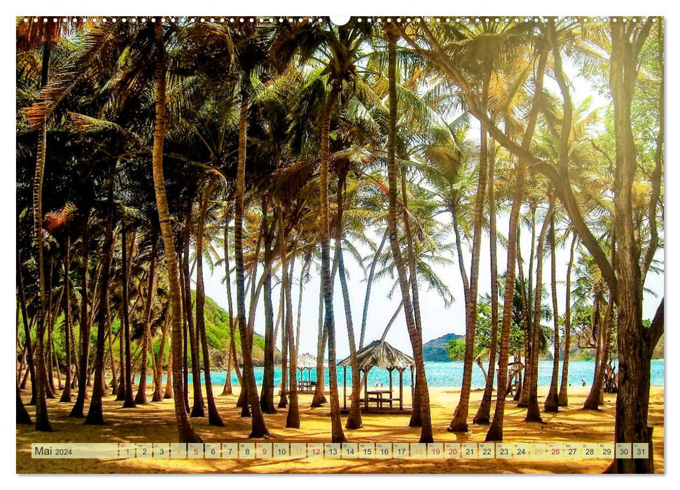 Trip to the Caribbean - from the Bahamas to Aruba (CALVENDO wall calendar 2024) 