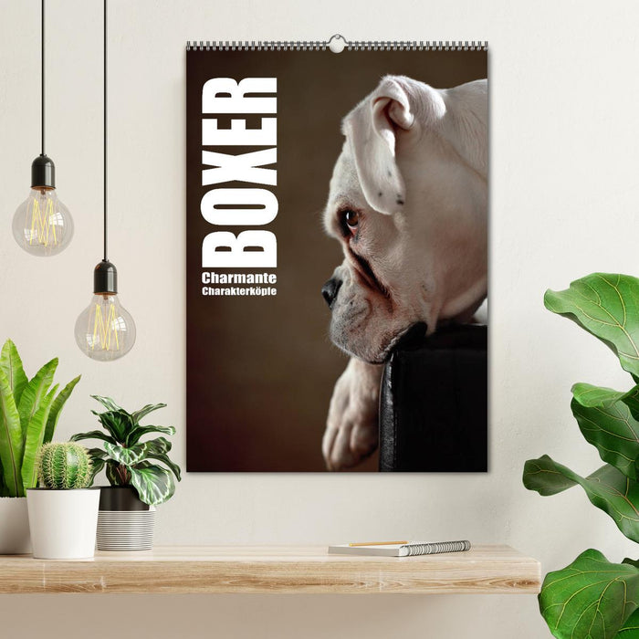 Boxer - Charming character heads (CALVENDO wall calendar 2024) 