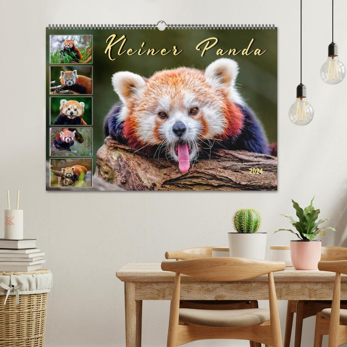 Little Panda (CALVENDO wall calendar 2024) 