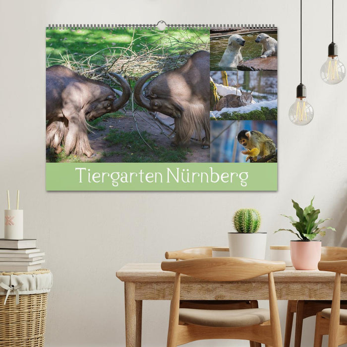 Nuremberg Zoo (CALVENDO wall calendar 2024) 