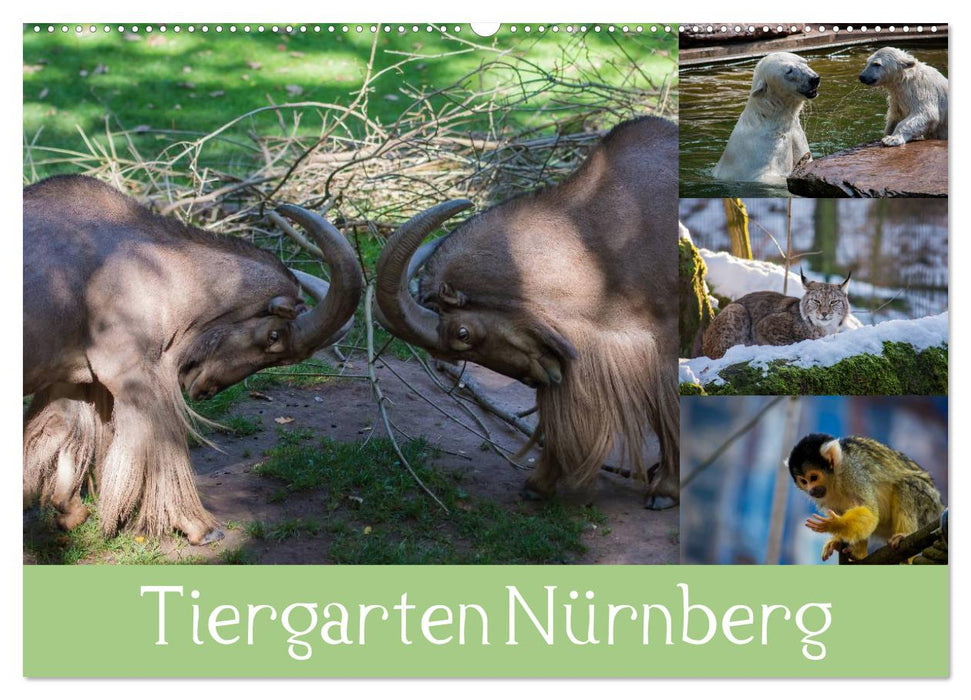 Tiergarten Nürnberg (CALVENDO Wandkalender 2024)