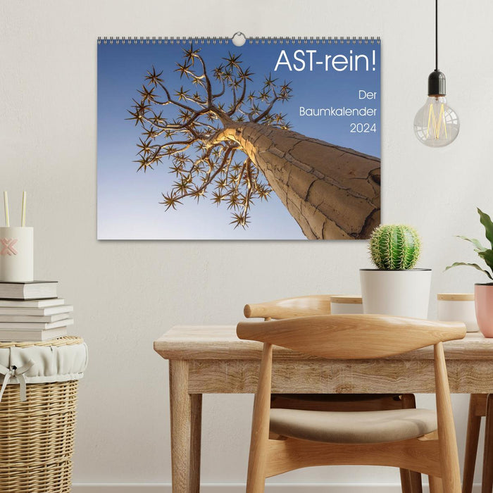 Astrein! - Der Baumkalender 2024 (CALVENDO Wandkalender 2024)