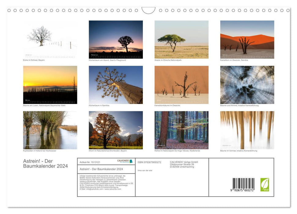 Pure! - The tree calendar 2024 (CALVENDO wall calendar 2024) 