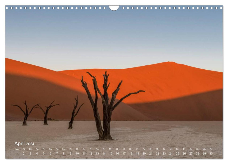 Pure! - The tree calendar 2024 (CALVENDO wall calendar 2024) 