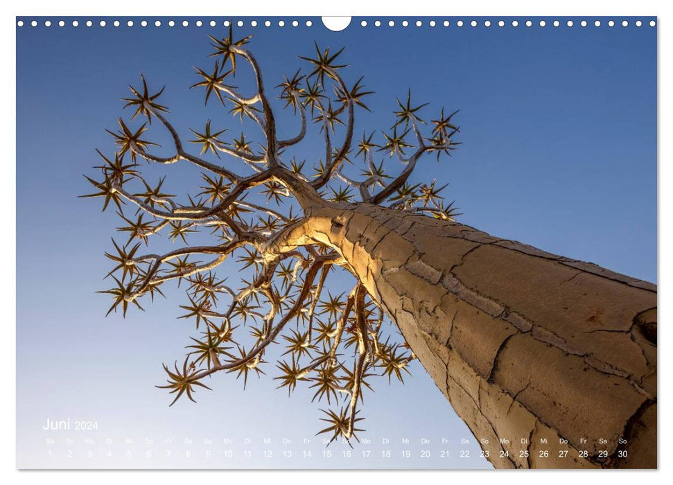 Pure! - The tree calendar 2024 (CALVENDO wall calendar 2024) 