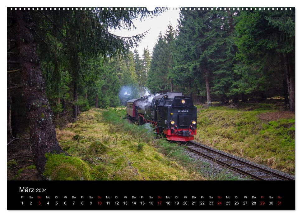 Under steam in Saxony Anhalt 2.0 (CALVENDO wall calendar 2024) 