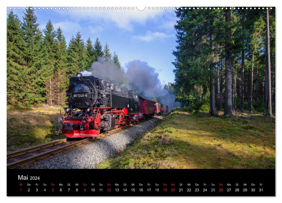 Under steam in Saxony Anhalt 2.0 (CALVENDO wall calendar 2024) 