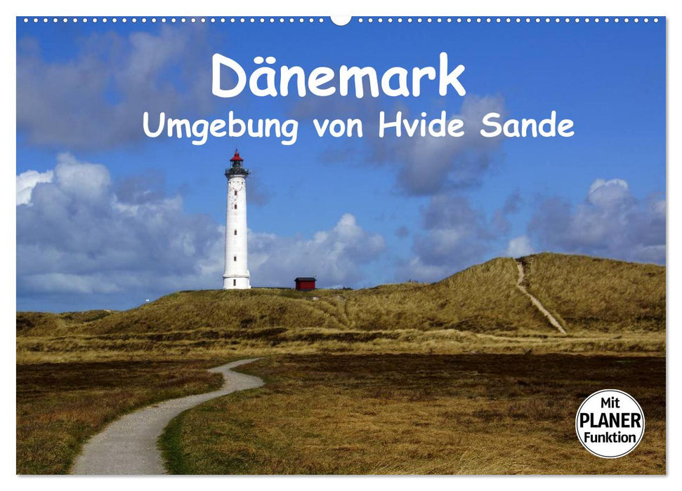 Denmark - Surroundings of Hvide Sande (CALVENDO wall calendar 2024) 