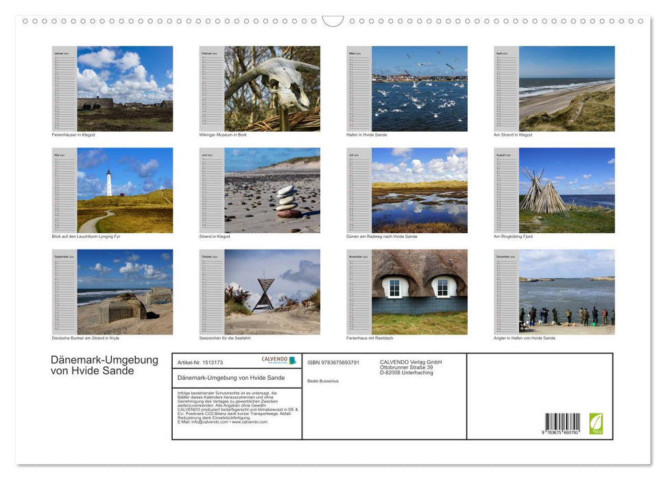 Denmark - Surroundings of Hvide Sande (CALVENDO wall calendar 2024) 