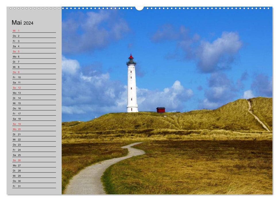 Dänemark - Umgebung von Hvide Sande (CALVENDO Wandkalender 2024)