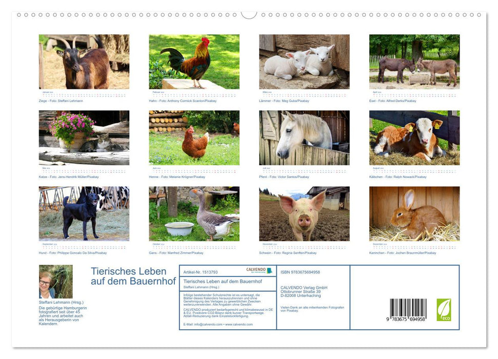 Tierisches Leben auf dem Bauernhof 2024 (CALVENDO Premium Wandkalender 2024)