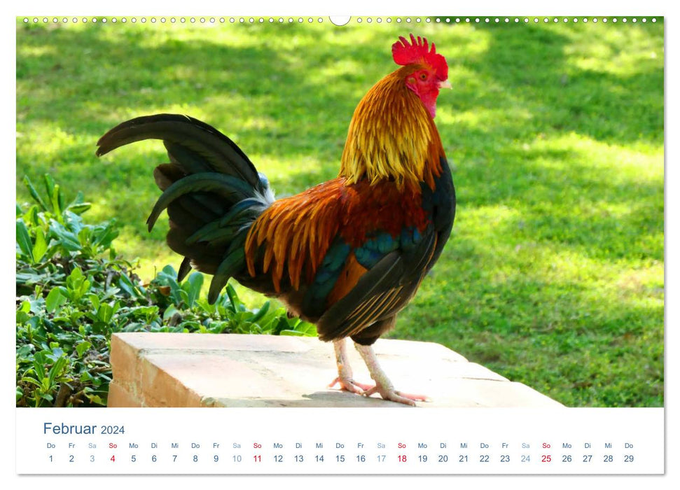 Tierisches Leben auf dem Bauernhof 2024 (CALVENDO Premium Wandkalender 2024)