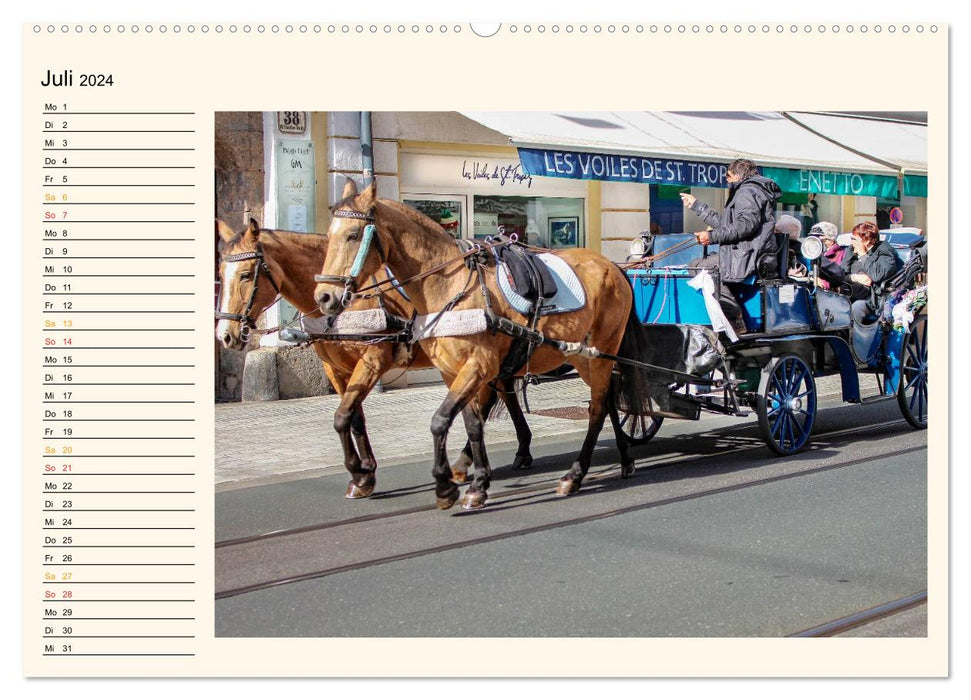 Pferdekutschen - Vorgänger des Automobils (CALVENDO Premium Wandkalender 2024)