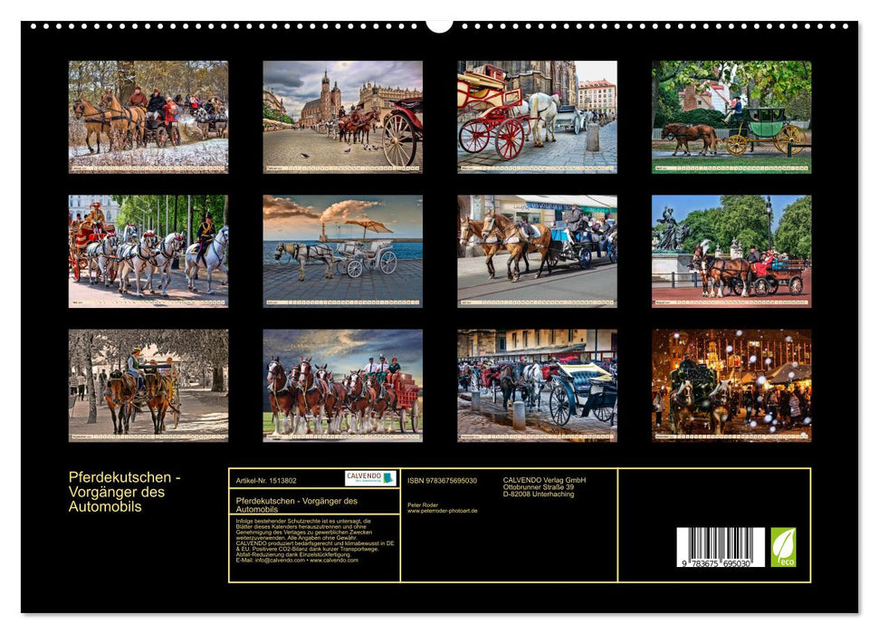 Pferdekutschen - Vorgänger des Automobils (CALVENDO Premium Wandkalender 2024)