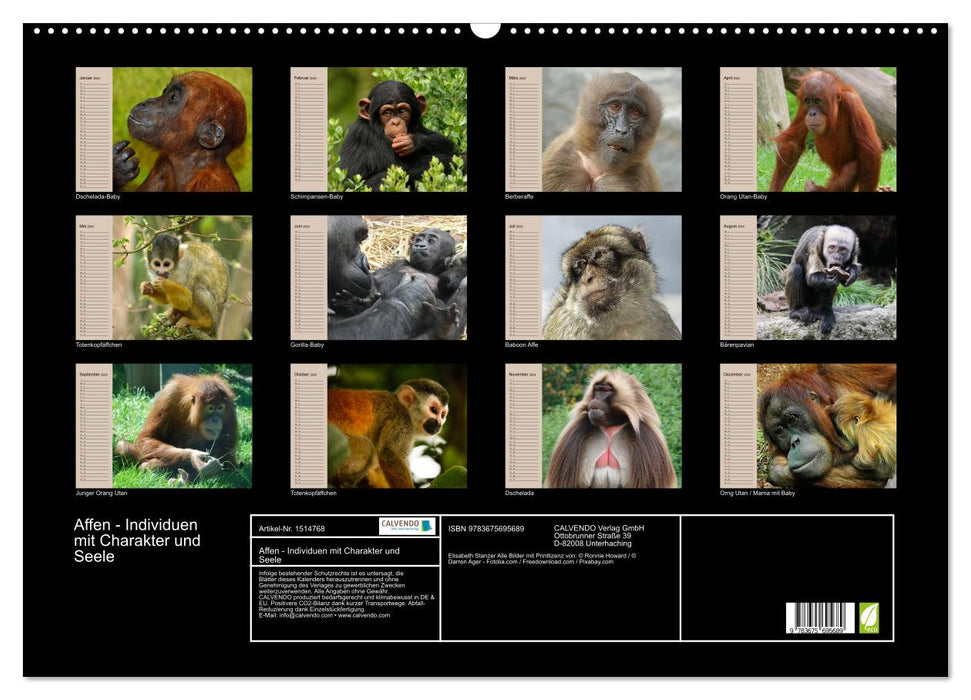 Affen - Individuen mit Charakter und Seele (CALVENDO Wandkalender 2024)