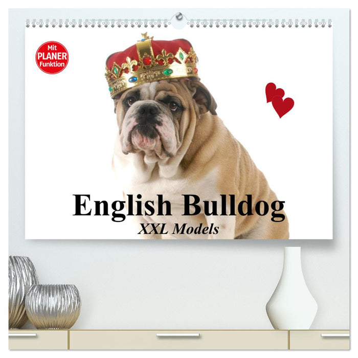 English Bulldog XXL Models (CALVENDO Premium Wandkalender 2024)