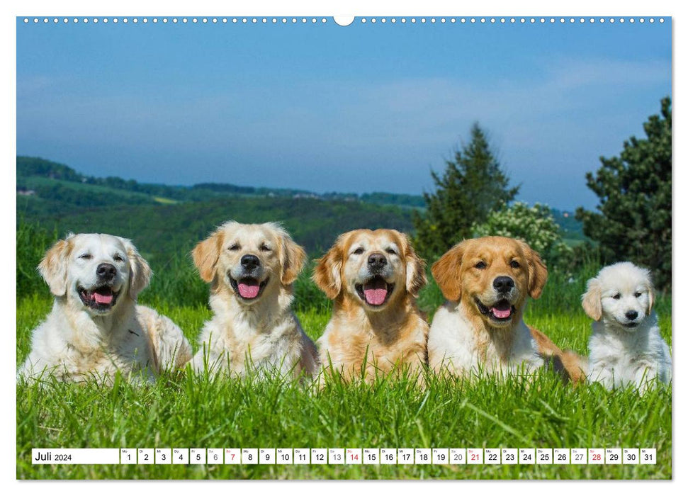 Le bonheur a un nom – Golden Retriever (Calendrier mural CALVENDO Premium 2024) 